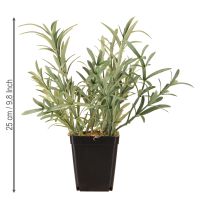 Artículo Salvia en maceta Salvia Lavandulifolia Artificial H25cm