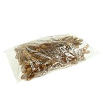 Artículo Salignum light 4-6 flores en la rama Leucadendron 100 piezas