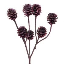Artículo Ramas salignum con conos Berry 25 uds.