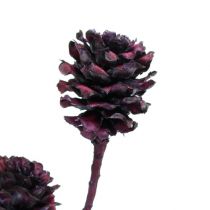 Artículo Ramas salignum con conos Berry 25 uds.