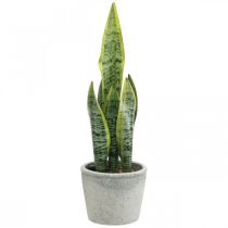 Arco de cáñamo artificial, planta verde en maceta, Sansevieria H39cm Ø12cm
