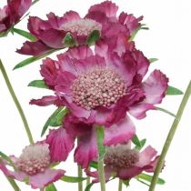 Scabious flor artificial rosa flor de verano H64cm ramo de 3 piezas