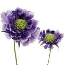 Scabious flor artificial púrpura H64cm manojo con 3pcs
