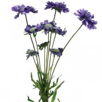 Scabious flor artificial púrpura H64cm manojo con 3pcs