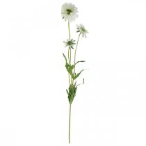 Artículo Flor artificial Scabiosa flor de jardín blanca Al. 64 cm manojo con 3 piezas