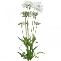 Artículo Flor artificial Scabiosa flor de jardín blanca Al. 64 cm manojo con 3 piezas