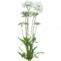 Artículo Scabious flor artificial blanca flor de jardín H64cm manojo con 3 piezas