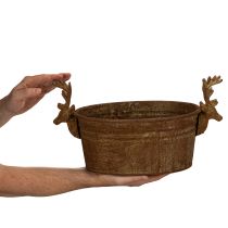 Artículo Bol decorativo con forma de cabeza de reno, ovalado, color óxido, estilo rústico, 41 cm.