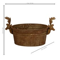 Artículo Bol decorativo con forma de cabeza de reno, ovalado, color óxido, estilo rústico, 41 cm.