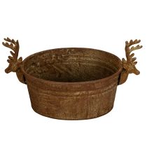 Artículo Bol decorativo con forma de cabeza de reno, ovalado, color óxido, estilo rústico, 41 cm.