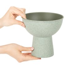 Artículo Macetero redondo moderno sobre una base alta, 18 cm.