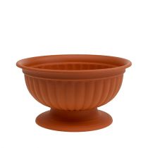 Artículo Cuenco con base de terracota Ø26cm