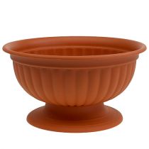 Artículo Cuenco con base de terracota Ø35cm