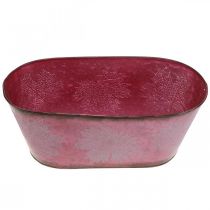 Artículo Cuenco con decoración de hojas, jardinera, decoración de otoño, maceta de metal rojo vino L38cm H15cm