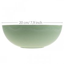 Artículo Cuenco decorativo verde pastel plastico mesa decoracion primavera Ø20cm