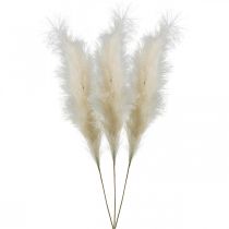 Pluma hierba crema caña china hierba seca artificial 100 cm 3 piezas