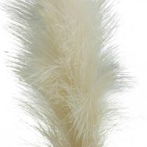 Pluma hierba crema caña china hierba seca artificial 100 cm 3 piezas