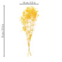 Artículo Ramo de flores secas con gisálida. Ramas decorativas ideales para la decoración de mesas de temporada. 70 cm.