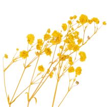 Artículo Ramo de flores secas con paniculata. Ramas florales decorativas ideales para la decoración de mesas en cualquier época del año. 70 cm.