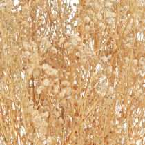 Artículo Gypsophila Pensamiento Yeso Hierba Flores blancas 50cm 55g