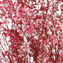 Artículo Gypsophila hierba de yeso paniculada en baya L50cm 55g