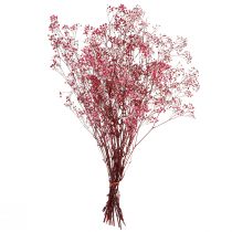 Artículo Gypsophila hierba de yeso paniculada en baya L50cm 55g