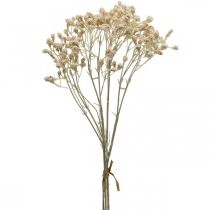 Artículo Gypsophila artificial crema gypsophila 46cm manojo de 3 piezas