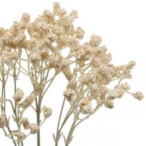 Artículo Gypsophila artificial Crema Gypsophila 46cm manojo de 3 piezas