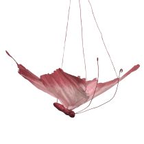 Artículo Mariposa colgante grande, elegante decoración de pared, 50 cm, 2 piezas