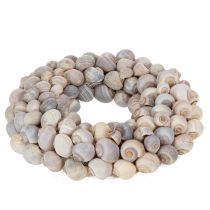 Artículo Corona de caracoles para colgar, corona decorativa, estilo marítimo, Nathai, Ø35cm