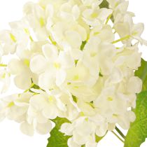 Artículo Rama de viburnum artificial bola de nieve con flores blancas (largo x ancho x alto): 90 cm