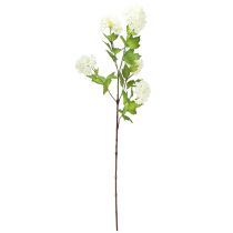 Artículo Rama de viburnum artificial bola de nieve con flores blancas (largo x ancho x alto): 90 cm