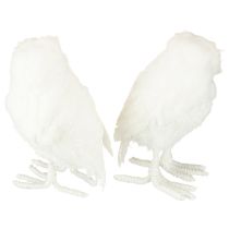 Artículo Búho nival decorativo blanco con pelaje y plumas, 15,5 cm, 2 unidades