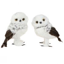Artículo Figura decorativa de búho nival Par de búhos blanco marrón H12cm 4 piezas