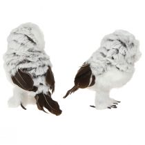 Artículo Figura decorativa de búho nival, pareja de búhos, blanco y marrón, 12 cm de alto, 2 piezas