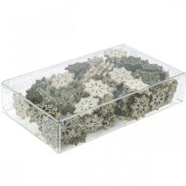 Artículo Copos de nieve mezcla brillo madera Ø2cm 144p