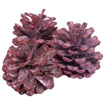 Piñas de pino negro decoración natural roja esmerilada 5–7cm 1kg