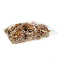 Artículo Piñas decorativas de pino negro crema 5-8cm 1kg