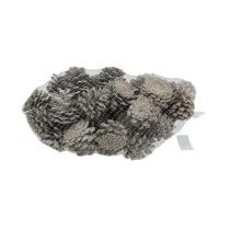 Artículo Piñas de pino negro 5-9cm Blanqueadas 1kg
