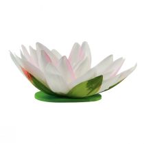 Artículo Nenúfares flotantes artificiales decoración de mesa blanco, rosa Ø15cm 2uds