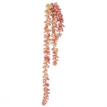 Artículo Planta colgante Sedum &#39;Rubin&#39; - suculenta decorativa y de fácil cuidado 43 cm 3 piezas.