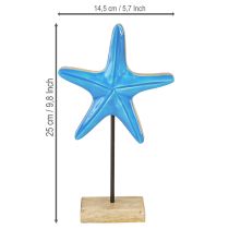 Artículo Estrella de mar azul sobre base Decoración de madera 25cm