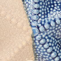 Artículo Estrella de mar Porcelana Azul Arena Decoración de Mesa Marítima Ø15cm 2uds