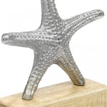 Estrella de mar de metal, decoración marítima, escultura decorativa plata, colores naturales Al. 18 cm