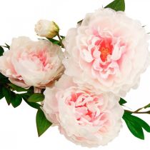 Artículo Flor de seda peonía artificial rosa claro, blanco 135cm