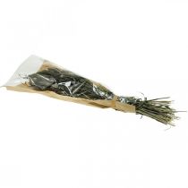 Artículo Flores Secas Setaria Antracita Cerda Natural Racimo De Mijo 100g