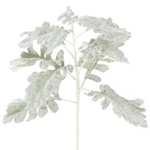 Artículo Rama artificial de Senecio, hoja plateada, hierba cana, detallada, 45 cm, 3 piezas