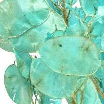 Artículo Hoja de plata seca Lunaria azul claro 65-70cm 20g