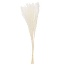 Artículo Flores secas, hierba plateada. Elegante decoración natural para el hogar y la oficina. 70 cm, 10 unidades.