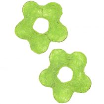 Artículo Sisalblume verde claro Ø7,5cm 25pcs